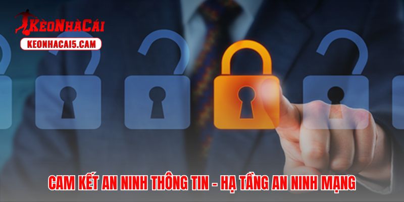 Chính sách bảo mật ứng dụng mã hóa SSL 256-bit bảo vệ dữ liệu