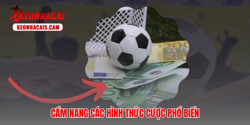 Hiểu rõ luật chơi từng loại hình giúp xây dựng chiến thuật soi kèo