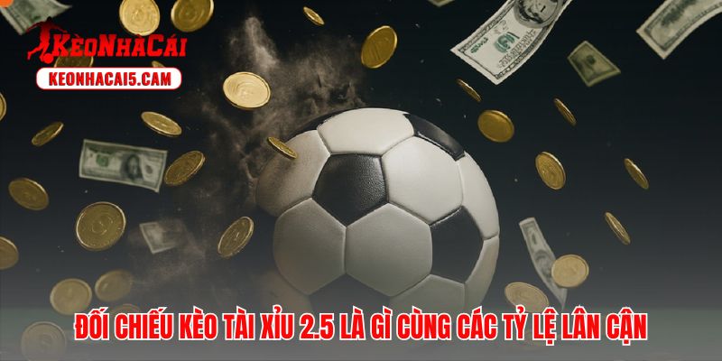 Kèo tài xỉu 2.5 là gì tránh bẫy thập phân khi tính toán dòng tiền