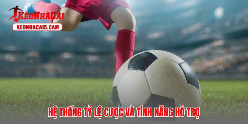 Kỹ năng phân tích cấu trúc cược gia tăng hiệu quả chiến thắng