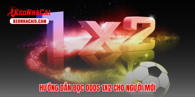 Hiểu bản chất Fixed Odds giúp người chơi tránh bẫy tâm lý sơ đẳng