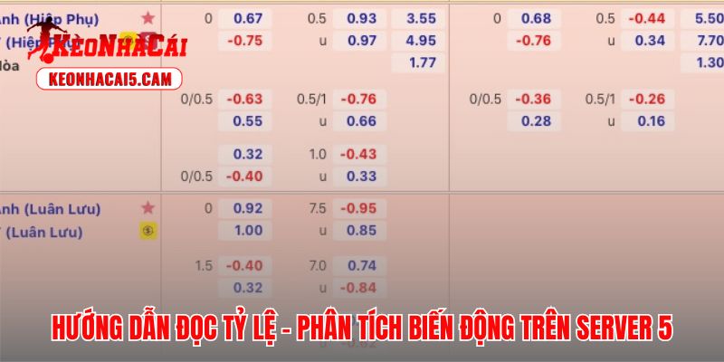 Giao diện Kèo Nhà Cái 5 hỗ trợ người chơi nhận diện bẫy cược tinh vi