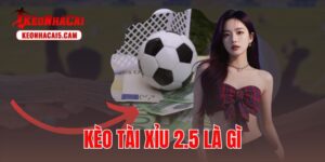 kèo tài xỉu 2.5 là gì