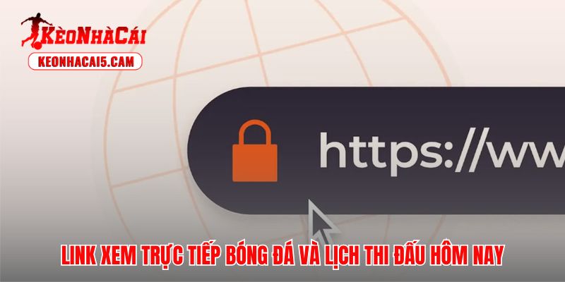Lịch thi đấu trực tiếp bóng đá cập nhật thời gian thực mọi giải đấu