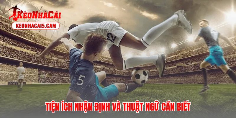 Kèo Nhà Cái Copa giải thích thuật ngữ giúp người chơi tránh sai sót