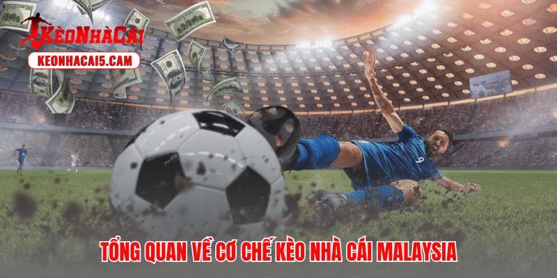 Kèo nhà cái Malaysia vũ khí bí mật giúp bảo toàn dòng tiền